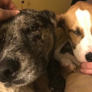 Meet your Posher, Krystal